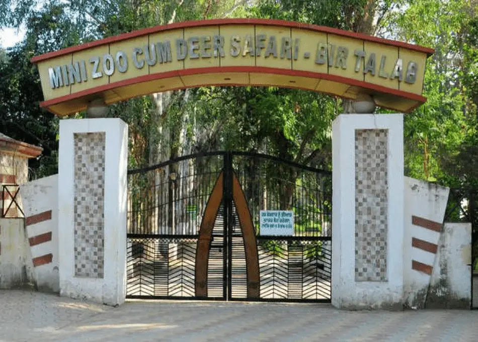 bir-talab-zoo